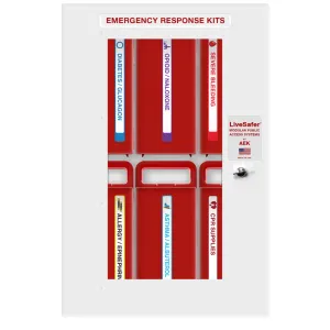 LiveSafer 6, Low Profile 4" deep cabinet. Includes 6 inner cases.